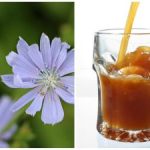 Hur man enkelt gör kvass från cikoria hemma: ett mycket